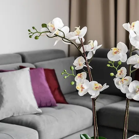 Old Town - River Point By Welcome * Gdansk