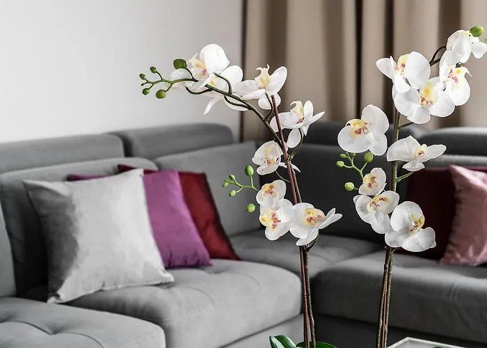 Old Town - River Point By Welcome * グダニスク